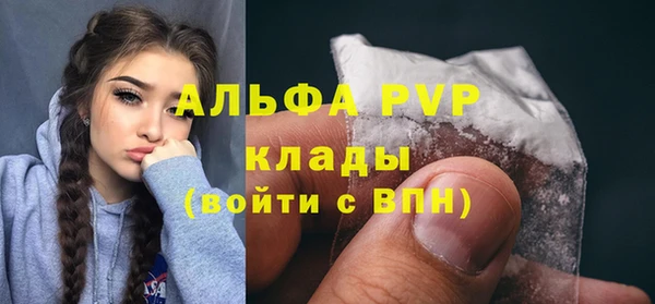 гашик Алексин