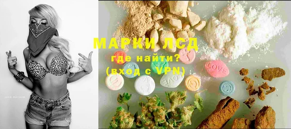 гашик Алексин