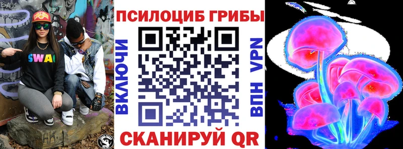 как найти закладки  Солигалич  Галлюциногенные грибы MAGIC MUSHROOMS 