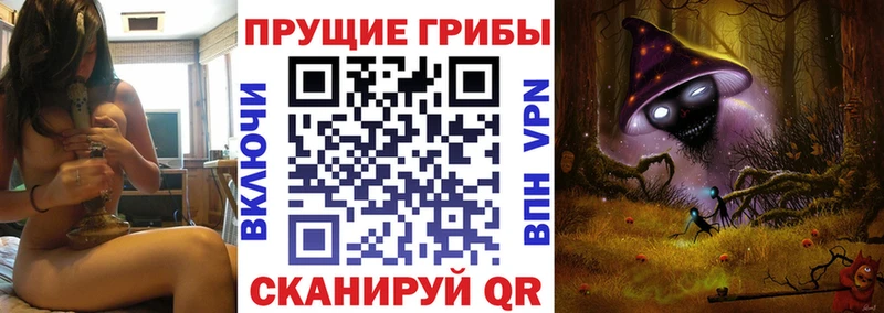 Галлюциногенные грибы мицелий Солигалич